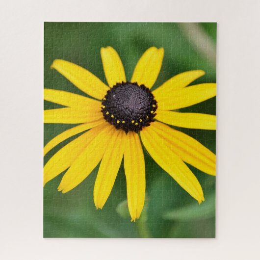 Black Eyed Susan - 16x20 520 stuks. Floral Puzzle Legpuzzel (Verticaal)