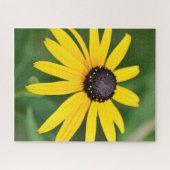 Black Eyed Susan - 16x20 520 stuks. Floral Puzzle Legpuzzel (Horizontaal)