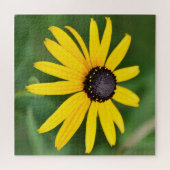 Black Eyed Susan - 20x20 - 676 pcs. Floral Puzzle Legpuzzel (Horizontaal)