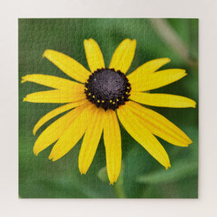 Black Eyed Susan - 20x20 - 676 pcs. Floral Puzzle Legpuzzel