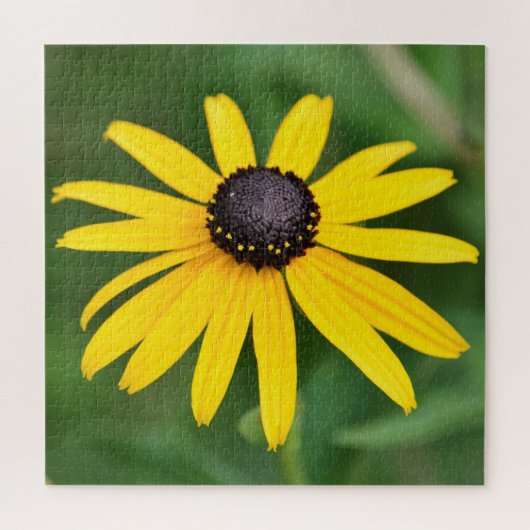 Black Eyed Susan - 20x20 - 676 pcs. Floral Puzzle Legpuzzel (Verticaal)