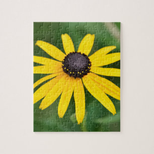 Black Eyed Susan - 8x10 110 pcs. Floral Puzzle Legpuzzel