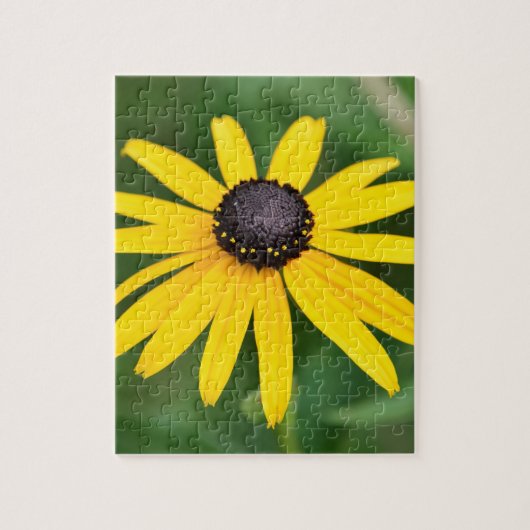 Black Eyed Susan - 8x10 110 pcs. Floral Puzzle Legpuzzel (Verticaal)