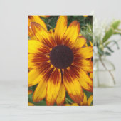 Black Eyed Susan Blank Flower Kaart (Staand voorkant)