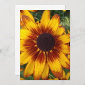 Black Eyed Susan Blank Flower Kaart (Voorkant / Achterkant)