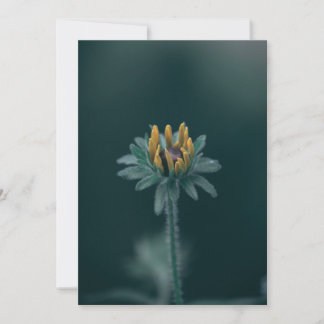 Black Eyed Susan Bloem Bedankkaart