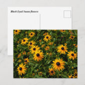 Black Eyed Susan bloemen Briefkaart (Voorkant / Achterkant)