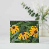 Black-Eyed Susan Briefkaart (Staand voorkant)