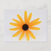 Black Eyed Susan Briefkaart (Voorkant)