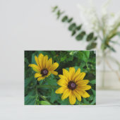 Black-Eyed Susan Briefkaart (Staand voorkant)