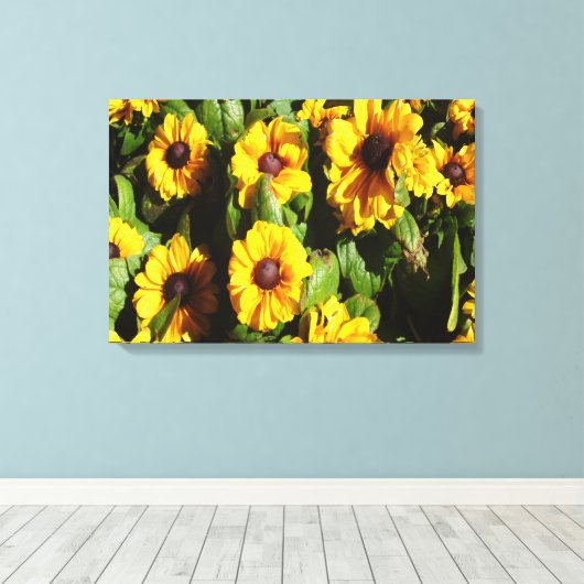 Black Eyed Susan Canvas Afdruk (Insitu (Houten vloer))