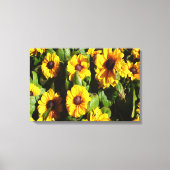 Black Eyed Susan Canvas Afdruk (Voorkant)
