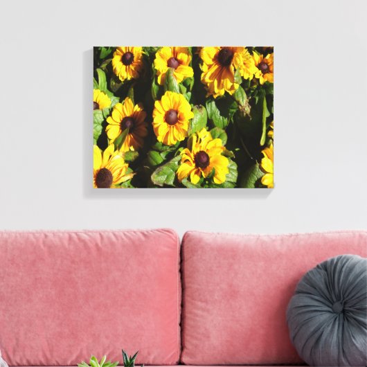 Black Eyed Susan Canvas Afdruk (Insitu (Woonkamer))