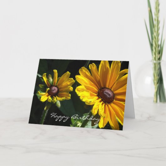 Black Eyed Susan Daisies Birthday Kaart (Voorkant)