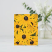 Black-eyed Susan Daisies Briefkaart (Staand voorkant)