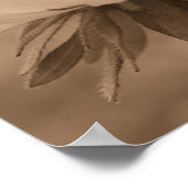 Black Eyed Susan Daisy Flower in  Sepia Poster (Hoek)