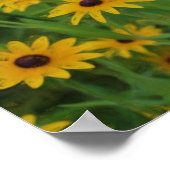 Black Eyed Susan Daisy Flower Photo Painting Poster (Hoek)