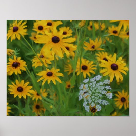 Black Eyed Susan Daisy Flower Photo Painting Poster (Voorkant)