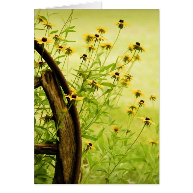 Black-Eyed Susan en Wagon Wheel Photo (Voorkant)
