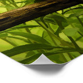 Black-Eyed Susan en Wagon Wheel Photo Poster (Hoek)