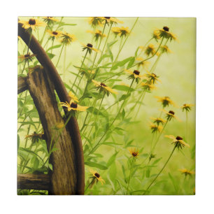 Black-Eyed Susan en Wagon Wheel Photo Tegeltje