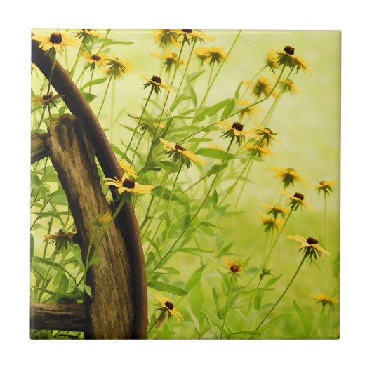 Black-Eyed Susan en Wagon Wheel Photo Tegeltje (Voorkant)