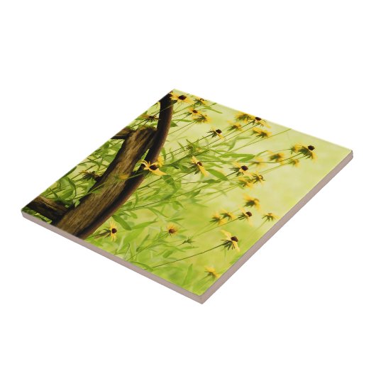 Black-Eyed Susan en Wagon Wheel Photo Tegeltje (Zijkant)