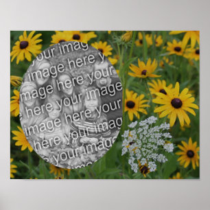 Black Eyed Susan Field Lijst Uw foto toevoegen Poster