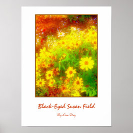 'Black-Eyed Susan Field'-poster Poster