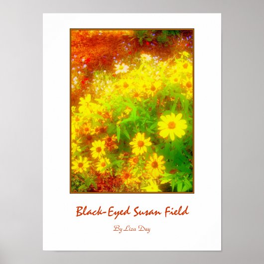 'Black-Eyed Susan Field'-poster Poster (Voorkant)