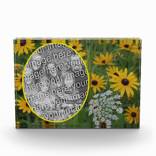 Black Eyed Susan Field Voeg je eigen Fotoblokken (Voorkant)