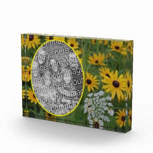 Black Eyed Susan Field Voeg je eigen Fotoblokken