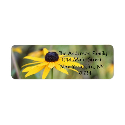 Black Eyed Susan, Floral Return Address Labels (Voorkant)