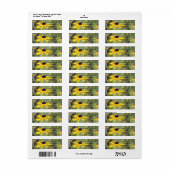 Black Eyed Susan, Floral Return Address Labels (Full Sheet)