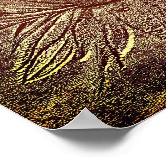 Black Eyed Susan Flower Art Sculpted Effect Poster (Hoek)