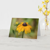 Black Eyed Susan Flower Kaart (Gele Bloem)