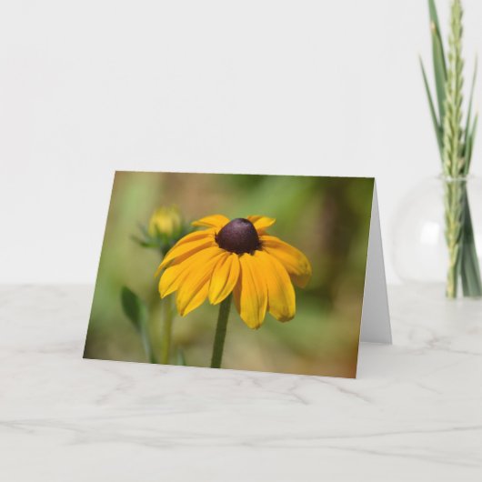 Black Eyed Susan Flower Kaart (Voorkant)