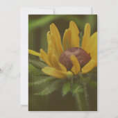 Black Eyed Susan Flower Kaart (Achterkant)