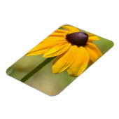 Black Eyed Susan Flower Magneet (Linkerzijde)