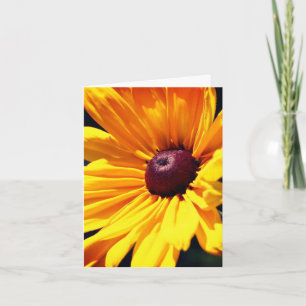 Black Eyed Susan Flower  Note Kaart