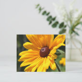 Black Eyed Susan Flower Photography Briefkaart (Staand voorkant)