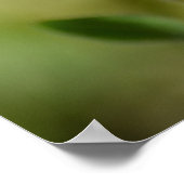 Black Eyed Susan Flower Photography Poster (Hoek)