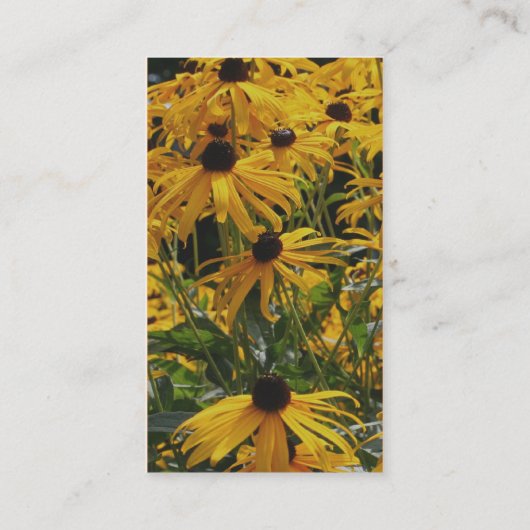 Black Eyed Susan Flower Photography Visitekaartje (Achterkant)
