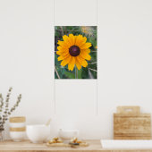 Black-eyed Susan Flower Poster (Keuken)