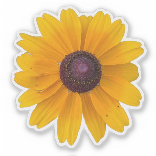 Black-eyed Susan Flower Sticker (Voorkant)