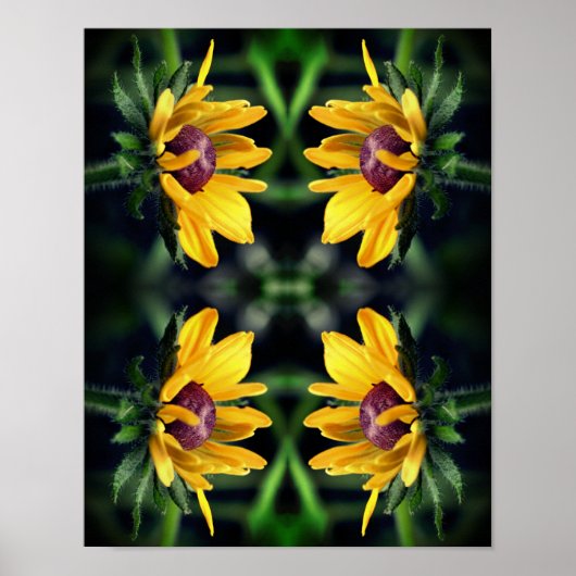 Black Eyed Susan Flower Unfolting Abstract Poster (Voorkant)