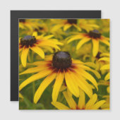 Black Eyed Susan Flowers (Voorkant / Achterkant)