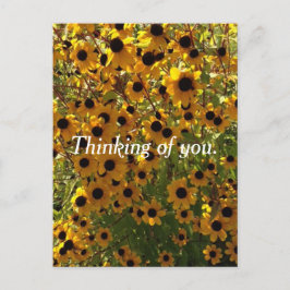 Black Eyed Susan Flowers Denken aan jou Briefkaart