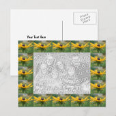 Black Eyed Susan Flowers Foto Briefkaart (Voorkant / Achterkant)