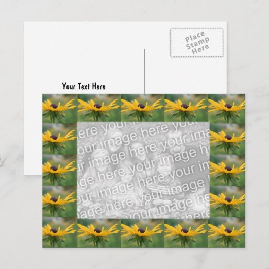 Black Eyed Susan Flowers Foto Briefkaart (Voorkant / Achterkant)